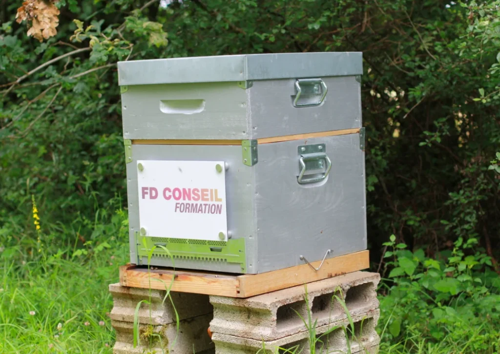 Ruche galvanisée FD Conseil Formation posée sur des parpaings.