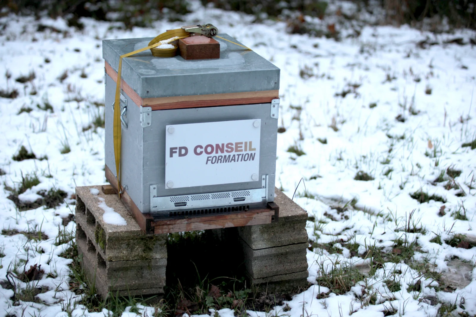 Ruche FD Conseil Formation dans la neige.