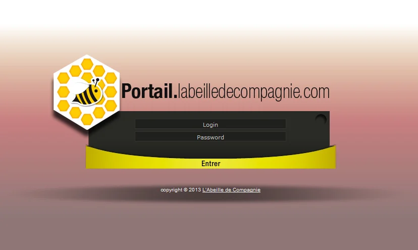 Capture de la page de connexion du portail de l'association.