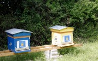 Installation des ruches Dailymotion