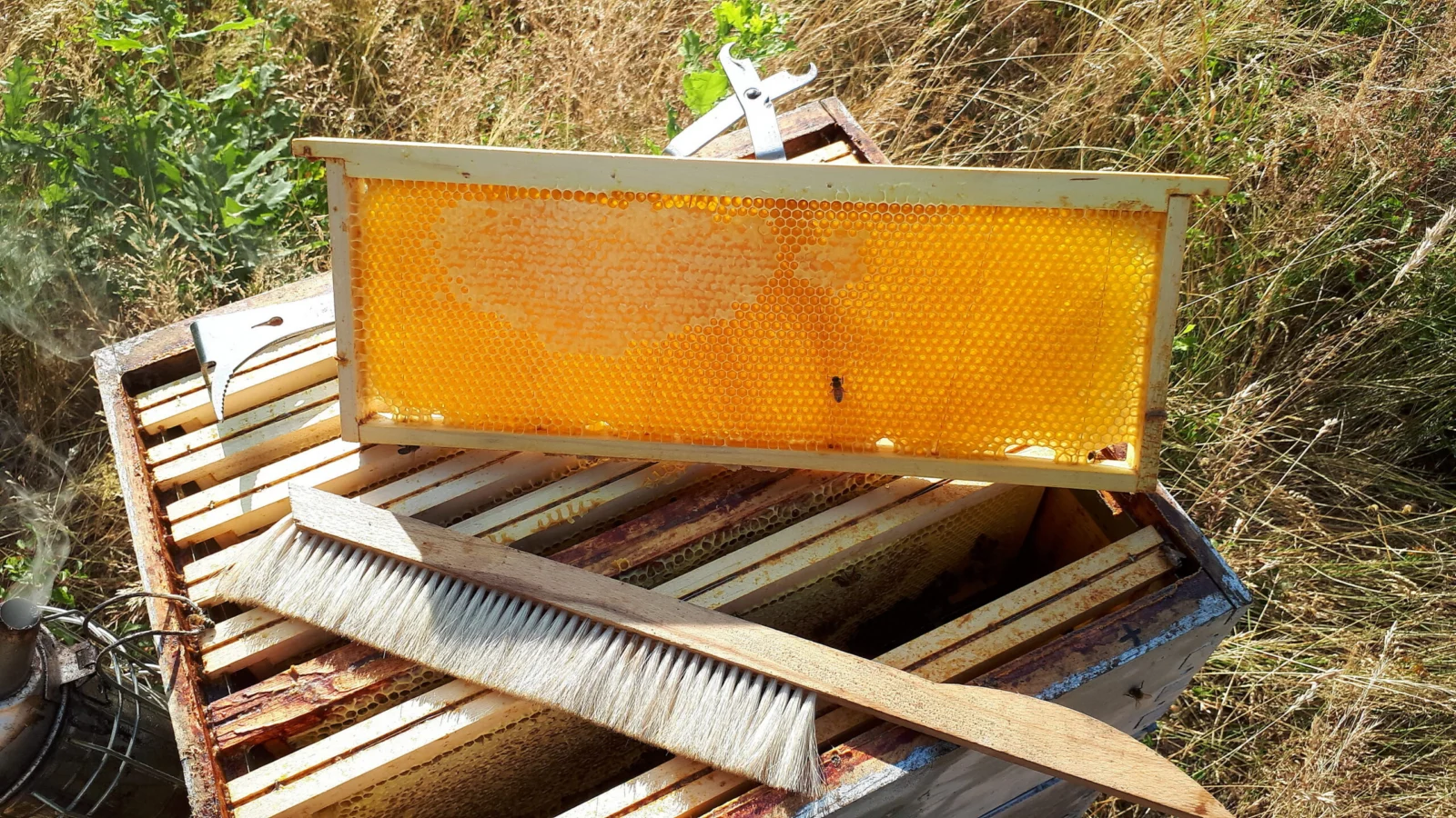 Cadre de miel operculé posé sur une hausse ouverte, à côté d'une brosse à abeilles.