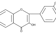 Les polyphénols et le miel