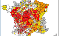 2019 : l'année des calamités climatiques