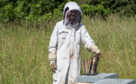 Devenez apiculteur responsable de rucher