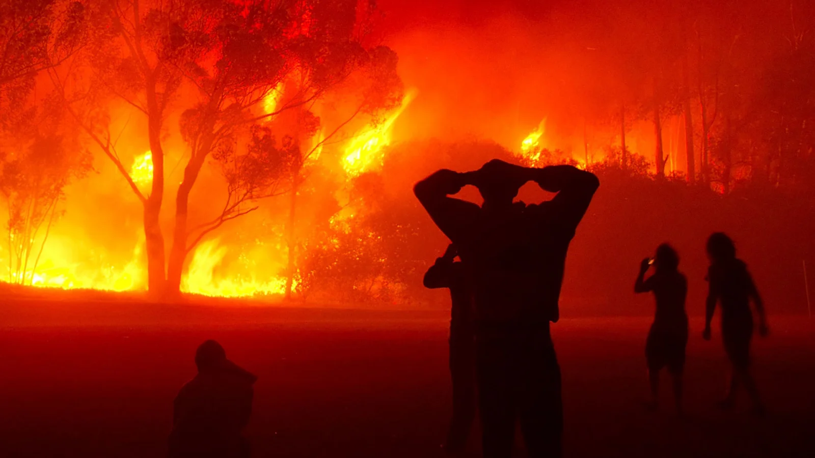 Silhouettes de personnes devant une forêt en flammes.