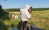 Obligations réglementaires de l'apiculteur
