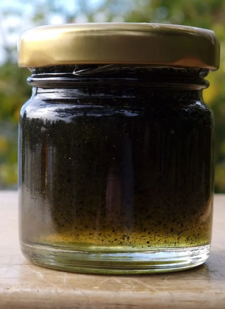 Petit pot de miel à la spiruline, vert très foncé.
