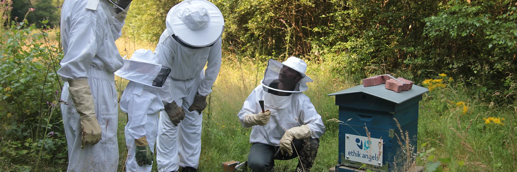 Un groupe de personnes en combinaison d'apiculture entoure une ruche ouverte dans une prairie ; l'une d'elles, accroupie, tient un lève-cadre.