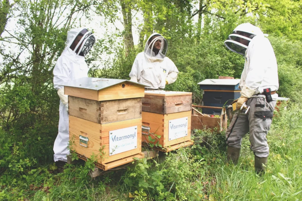 Des salariés en visite au rucher de leur entreprise
