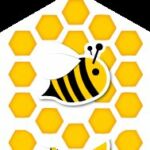 Asso. L'abeille de Compagnie